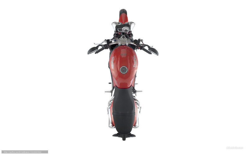 Red Triumph Motorcycle — Neutral, Photograph, Fuel Tank