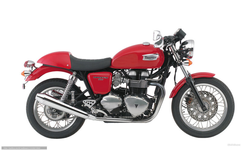 Red Triumph Motorcycle — Neutral, Photograph, Seat