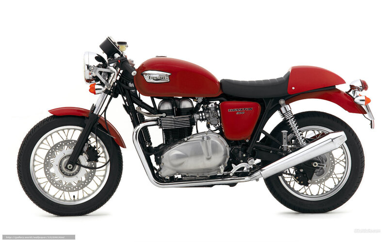 Red Triumph Thruxton 900 motorcycle
