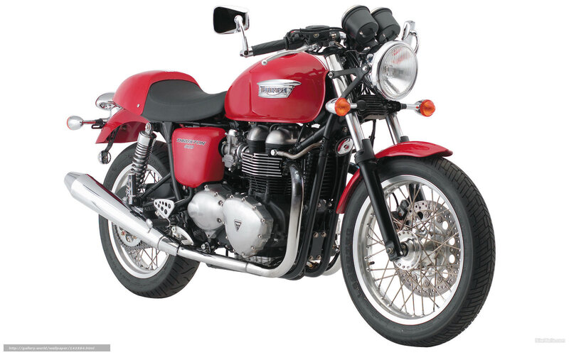 Red Triumph Thruxton motorcycle