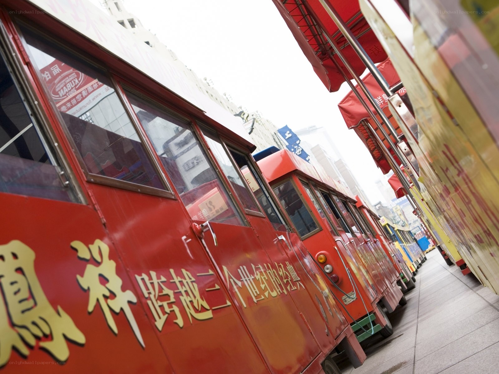 Red trolley buses in a row