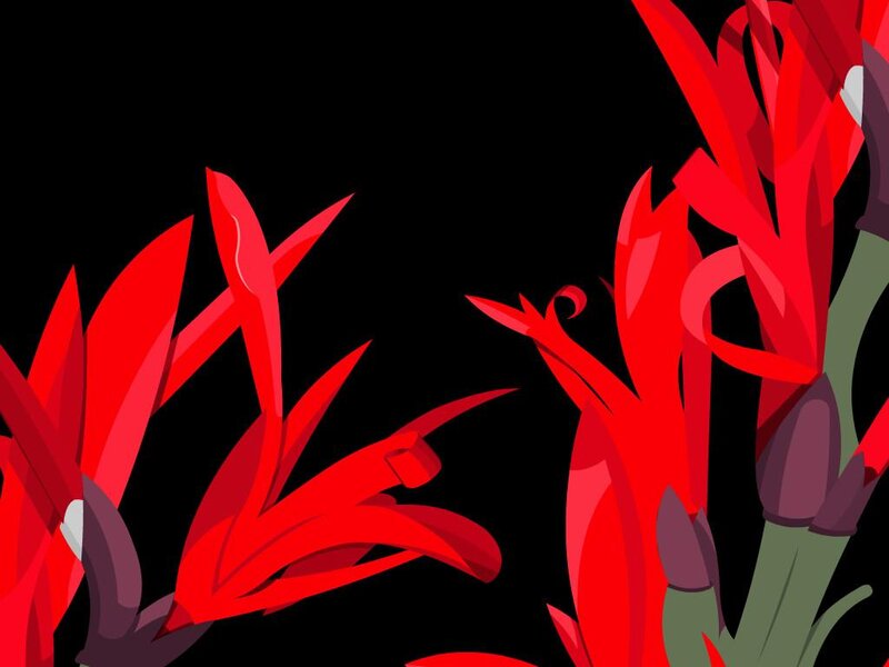 Red Tropical Flowers