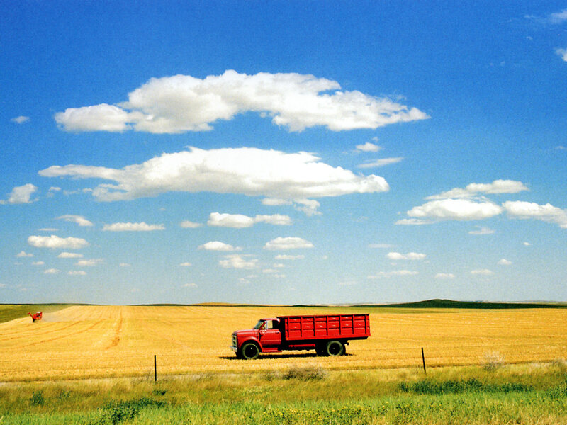 Red truck in a golden field