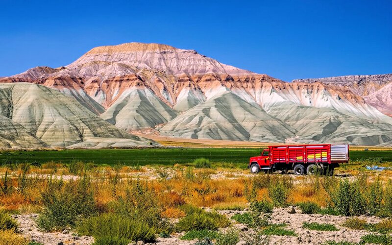 Red Truck in Field