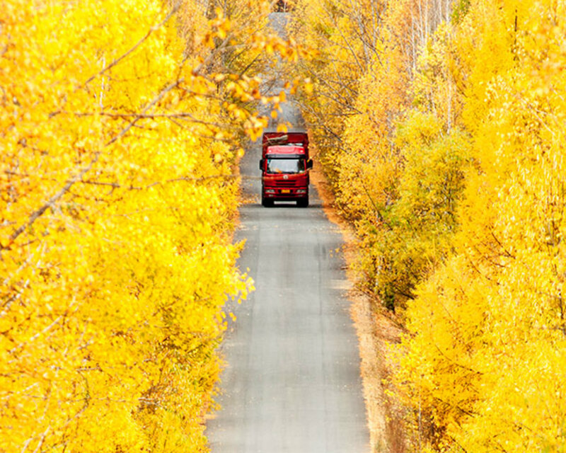 Red Truck on Road — Yellow