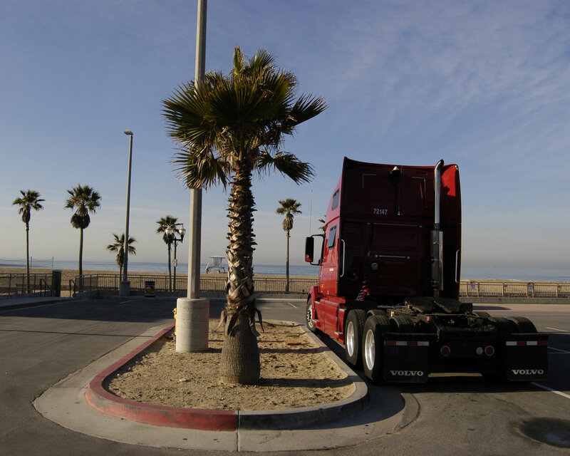 Red truck parked near palm tree