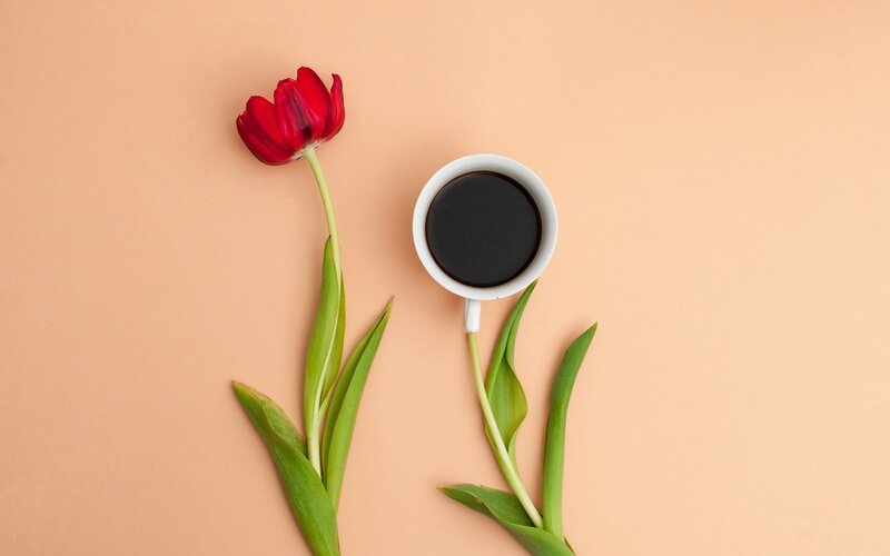 Red Tulip and Coffee Cup