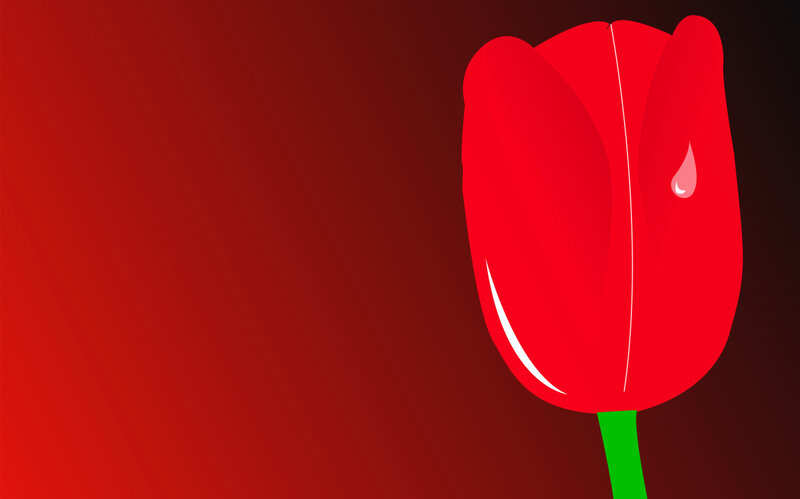 Red Tulip Flower — Dramatic, Vector Art