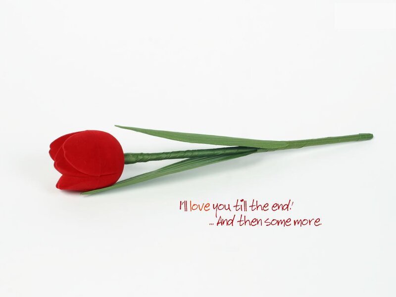 Red Tulip Flower — Romantic, Photograph