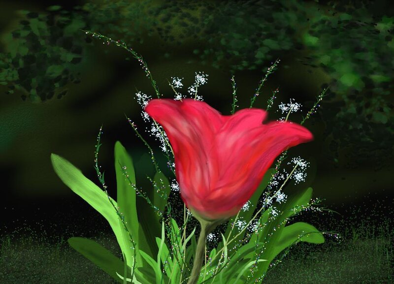 Red Tulip in Grass