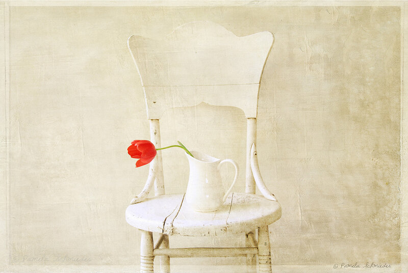 Red Tulip on Chair