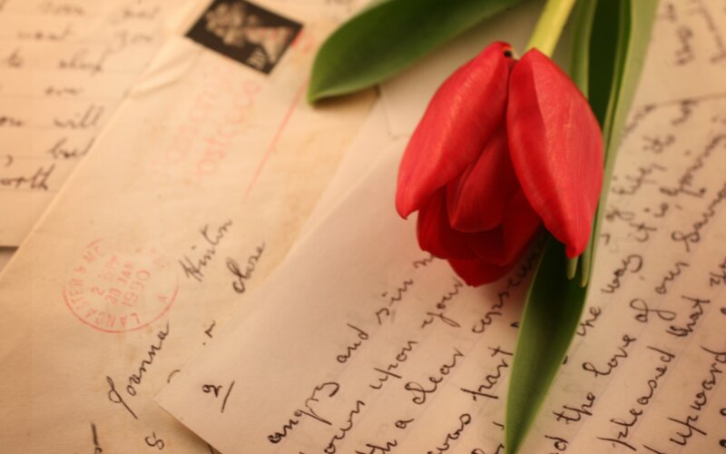 Red Tulip on Letters