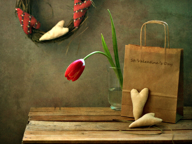 Red Tulip on Table