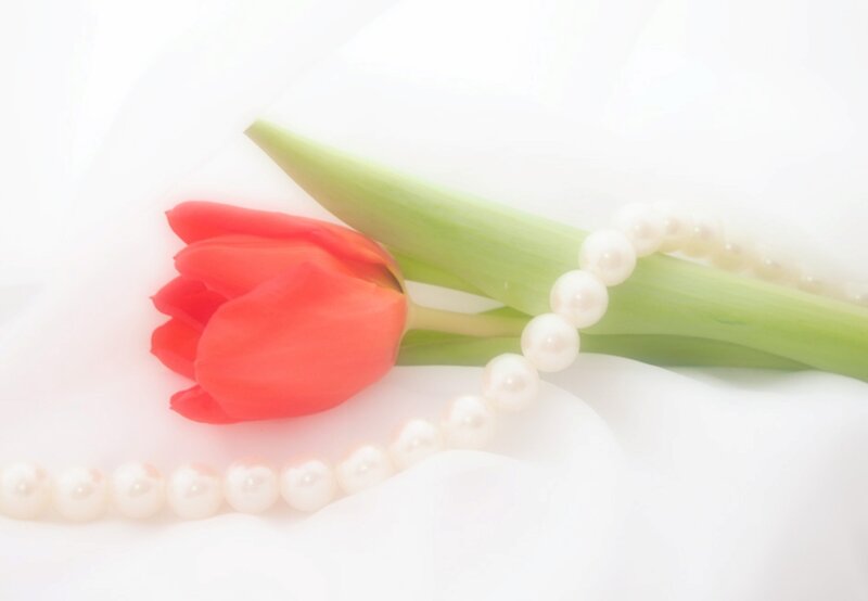 Red Tulip with Pearls