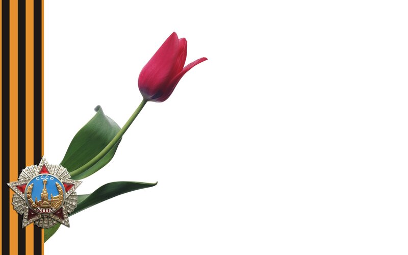 Red tulip with Victory Medal