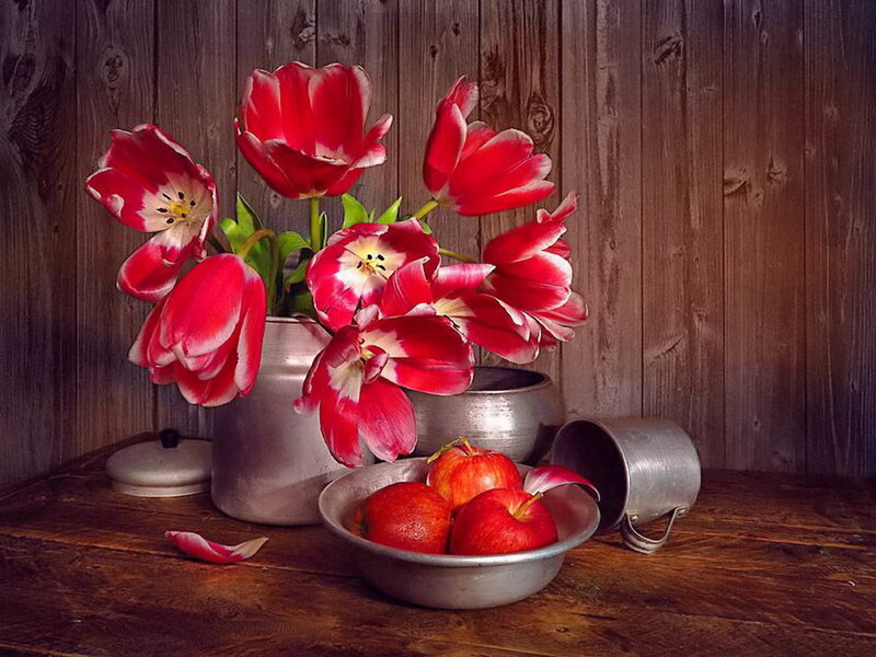 Red Tulips and Apples