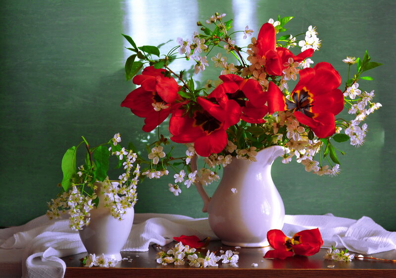 Red Tulips and Blossoms