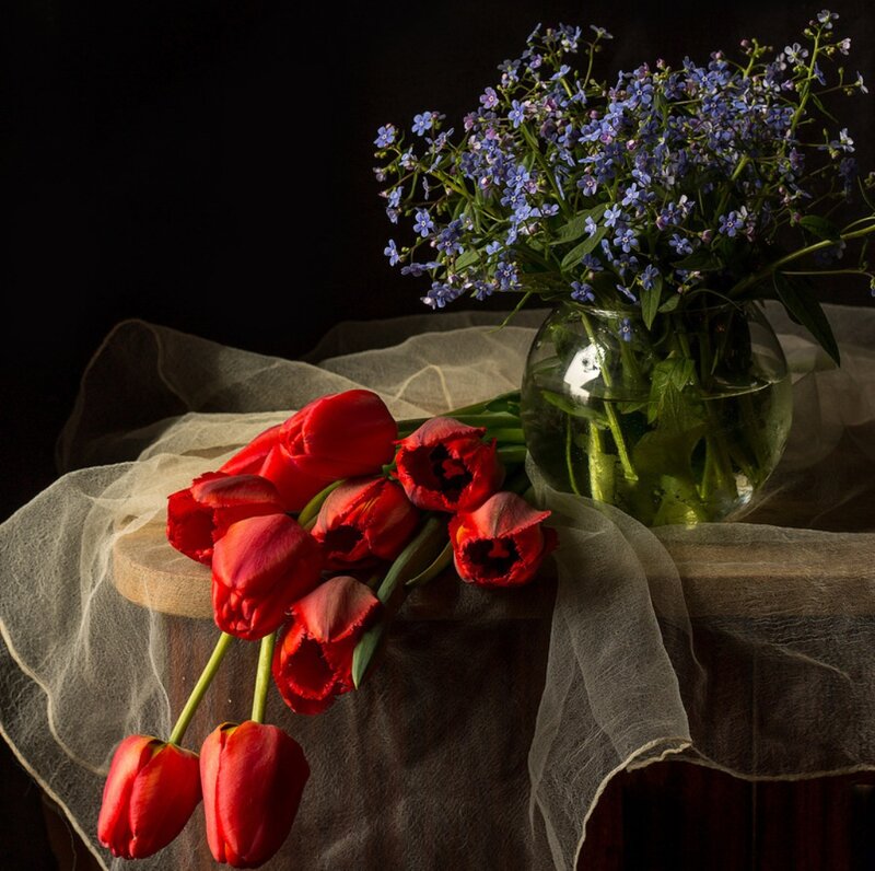 Red Tulips and Blue Flowers — Dramatic