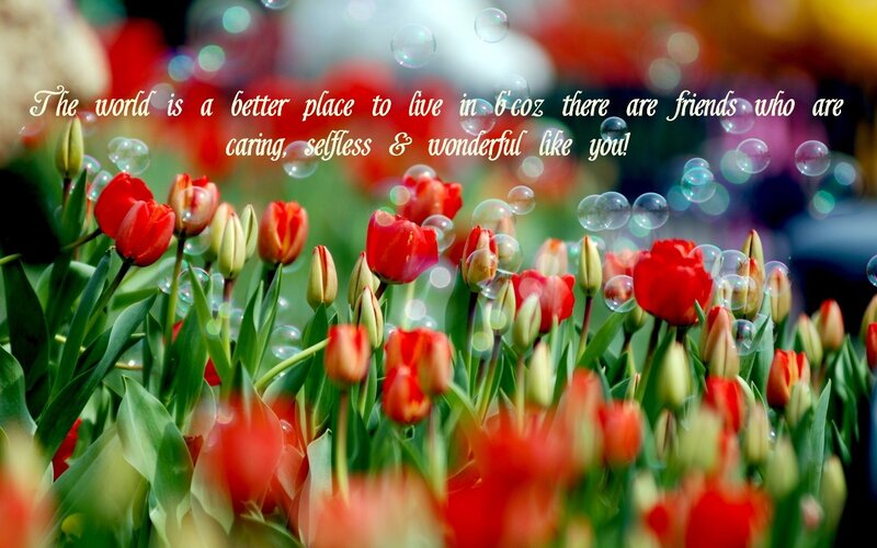 Red Tulips and Bubbles