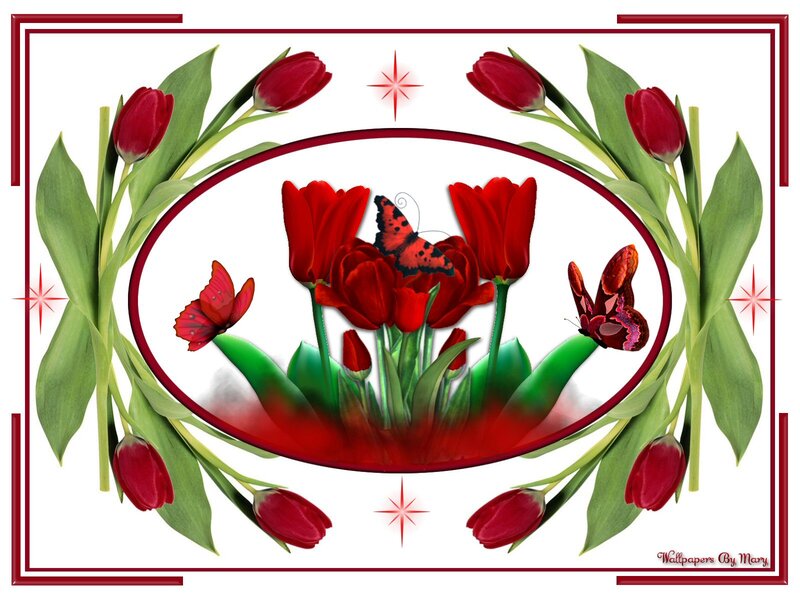 Red Tulips and Butterflies
