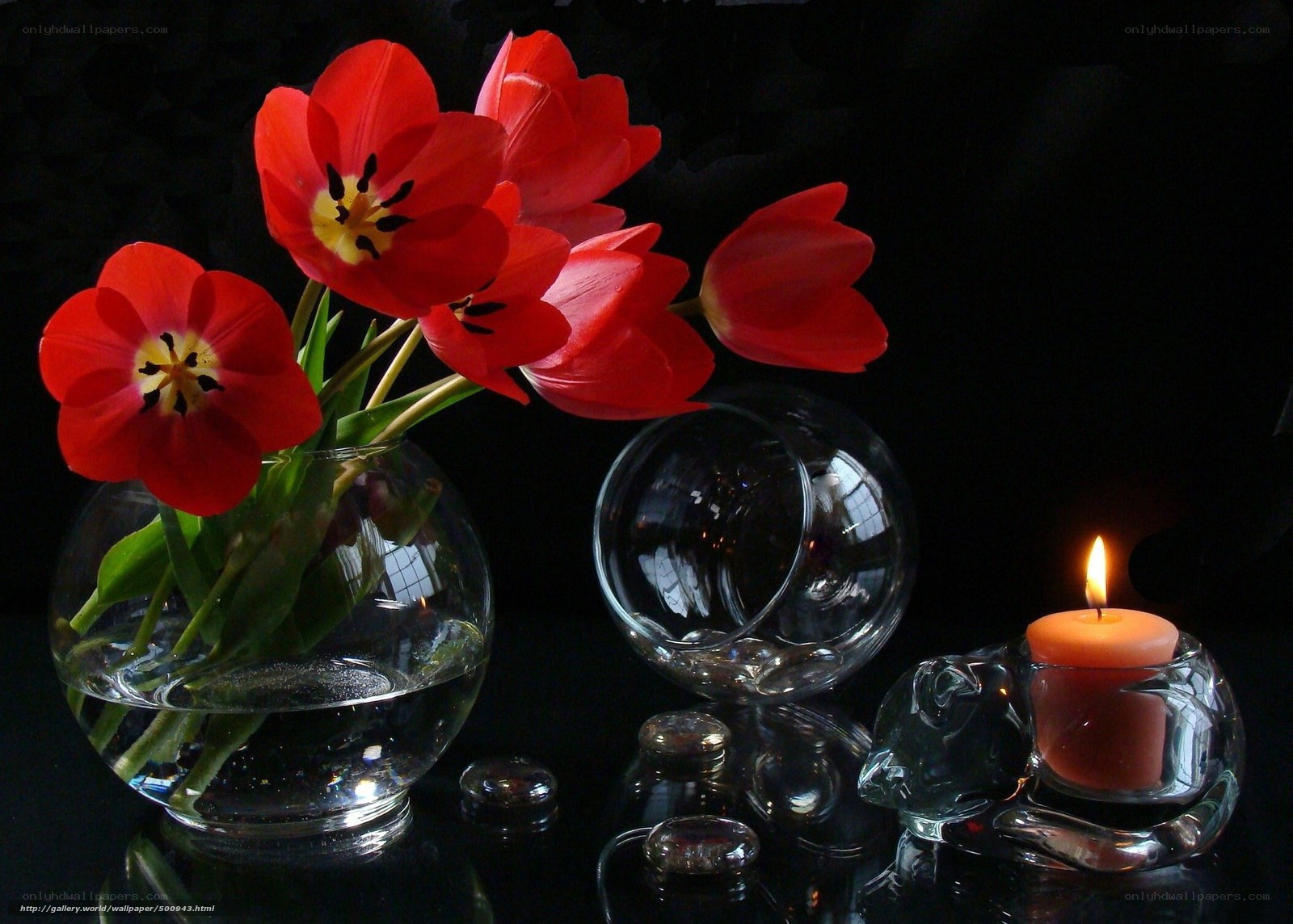 Red tulips and candle