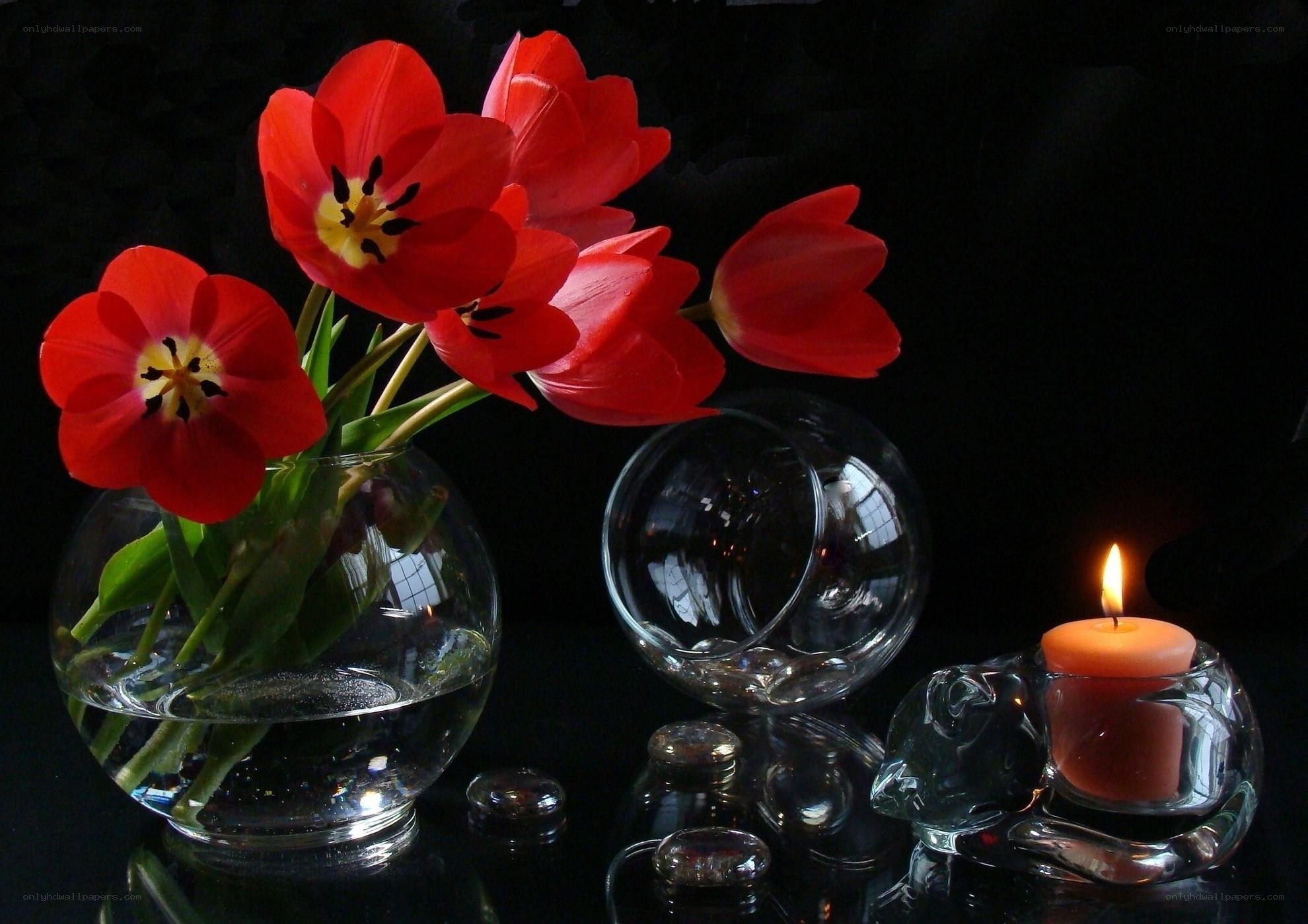 Red tulips and candle