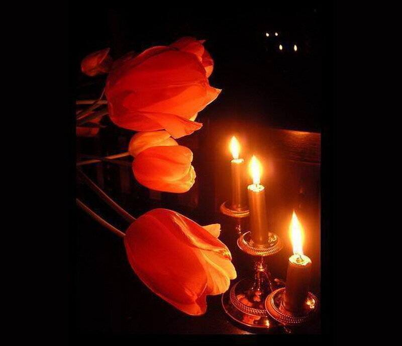 Red Tulips and Candles