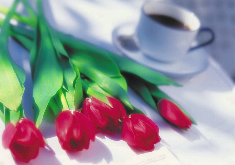 Red Tulips and Coffee Cup — Serene