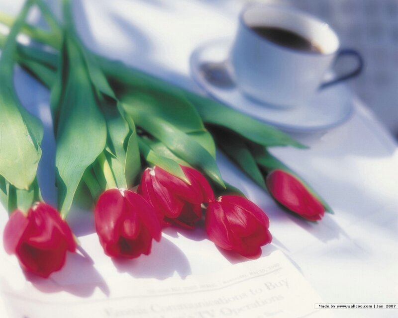 Red Tulips and Coffee Cup
