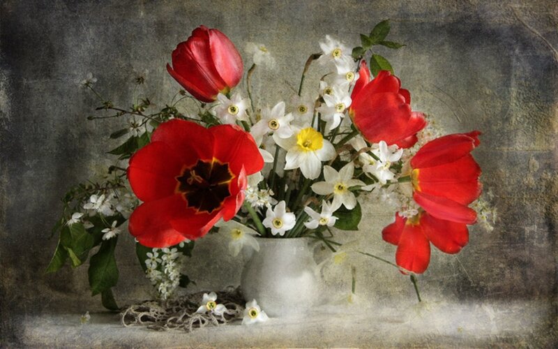 Red tulips and daffodils in a vase