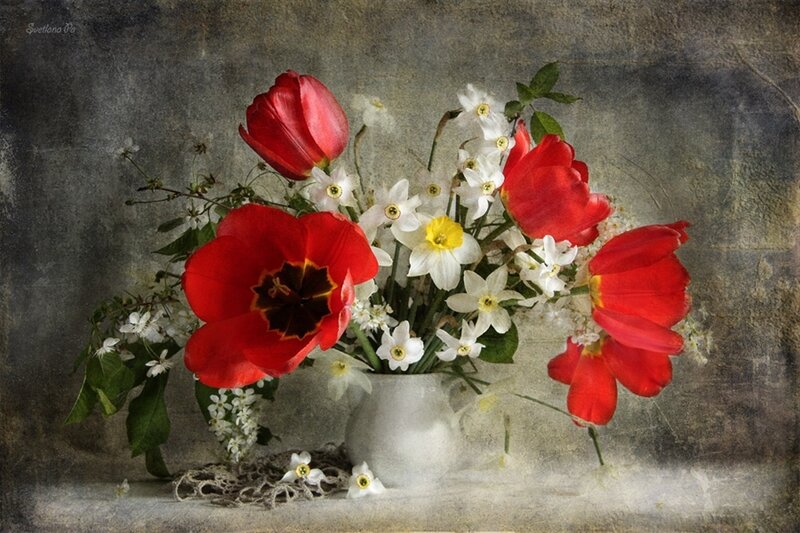 Red Tulips and Daffodils