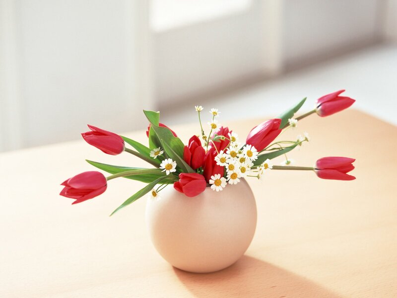 Red tulips and daisies in a vase