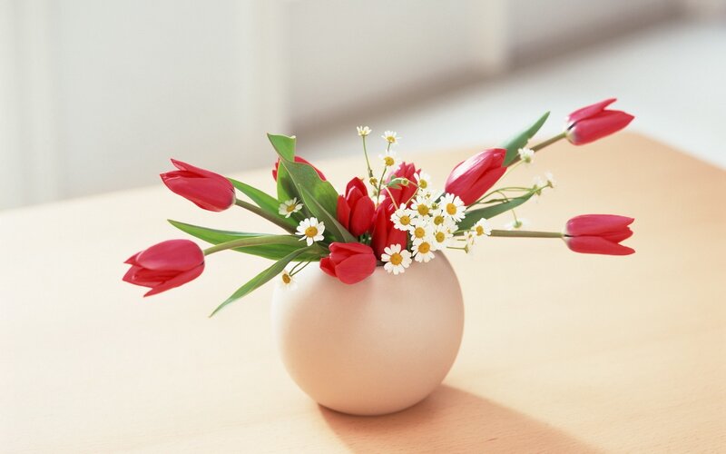 Red tulips and daisies in a vase
