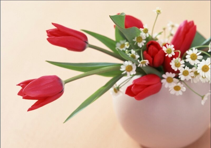 red tulips and daisies in a vase