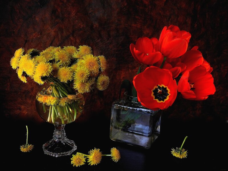Red Tulips and Dandelions