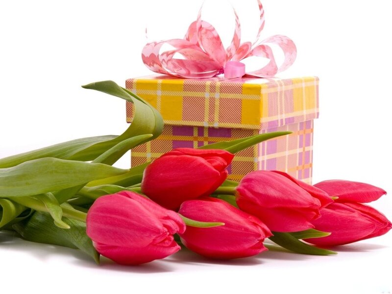 Red Tulips and Gift Box — Festive, Photograph
