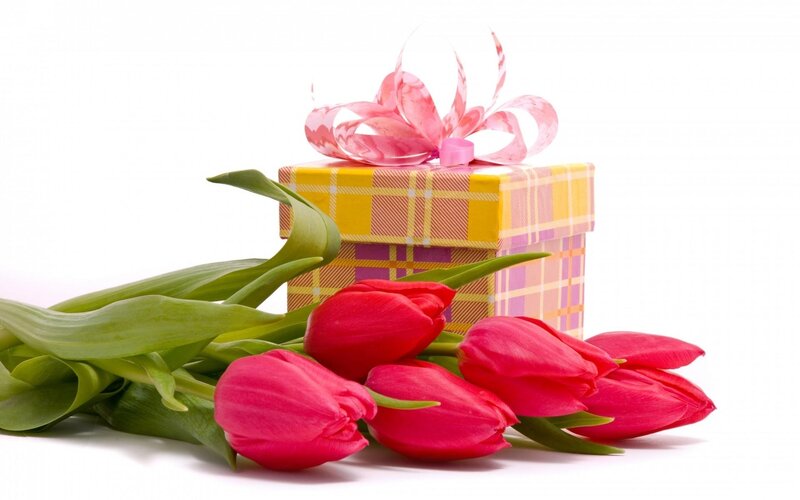 Red Tulips and Gift Box — Festive, Spring