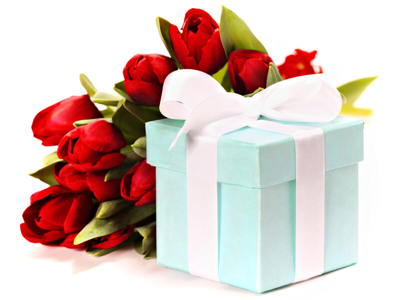 Red Tulips and Gift Box — Festive