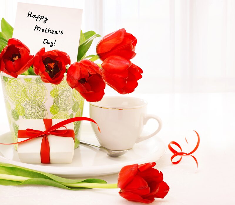 Red Tulips and Gift