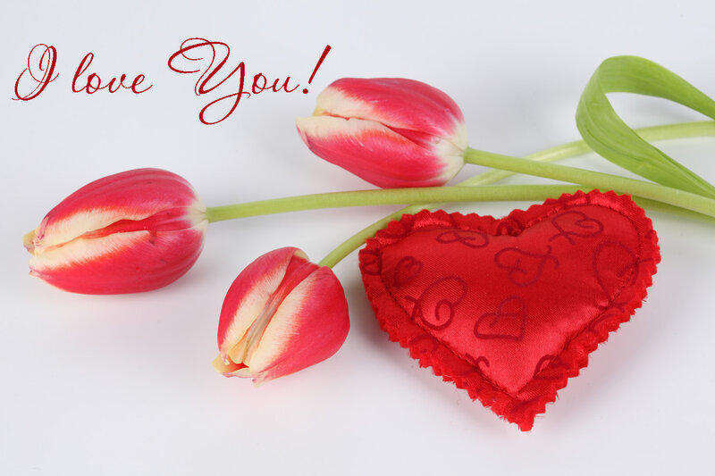 Red Tulips and Heart