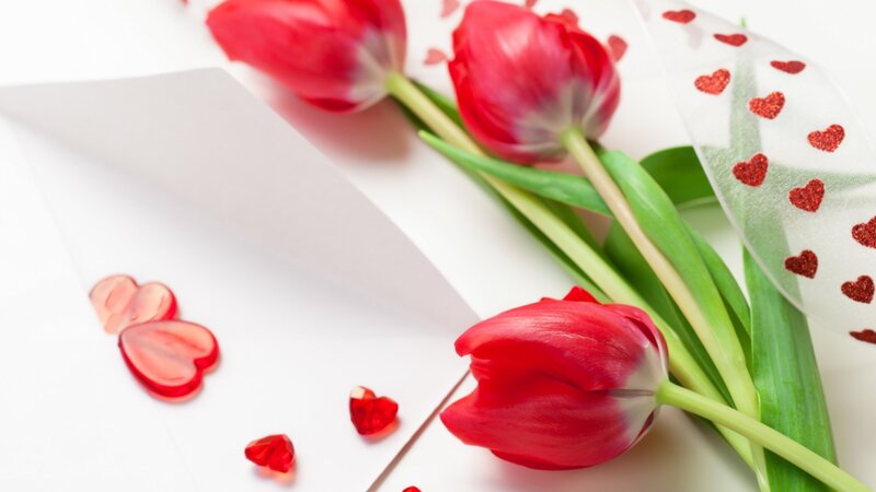 Red Tulips and Hearts