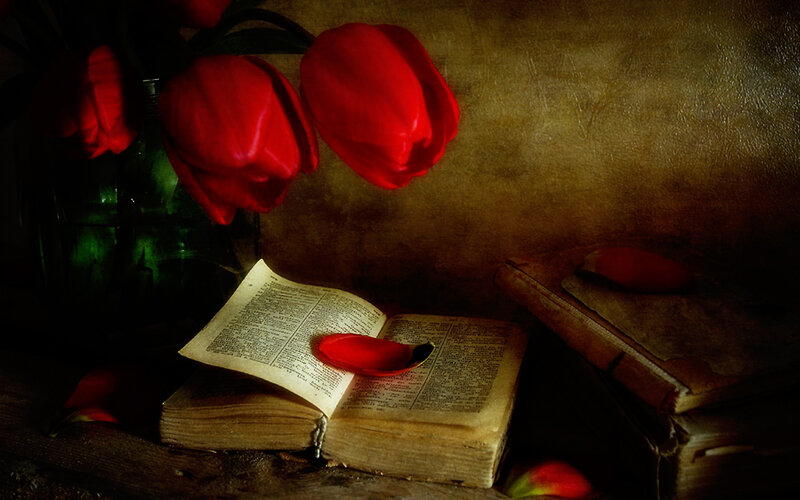 Red tulips and old books