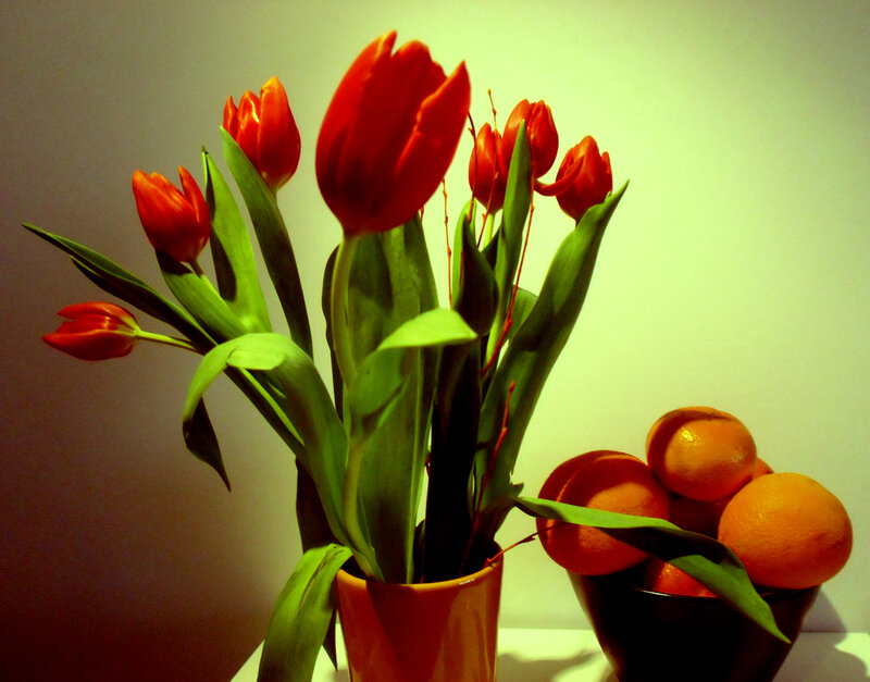 Red tulips and oranges