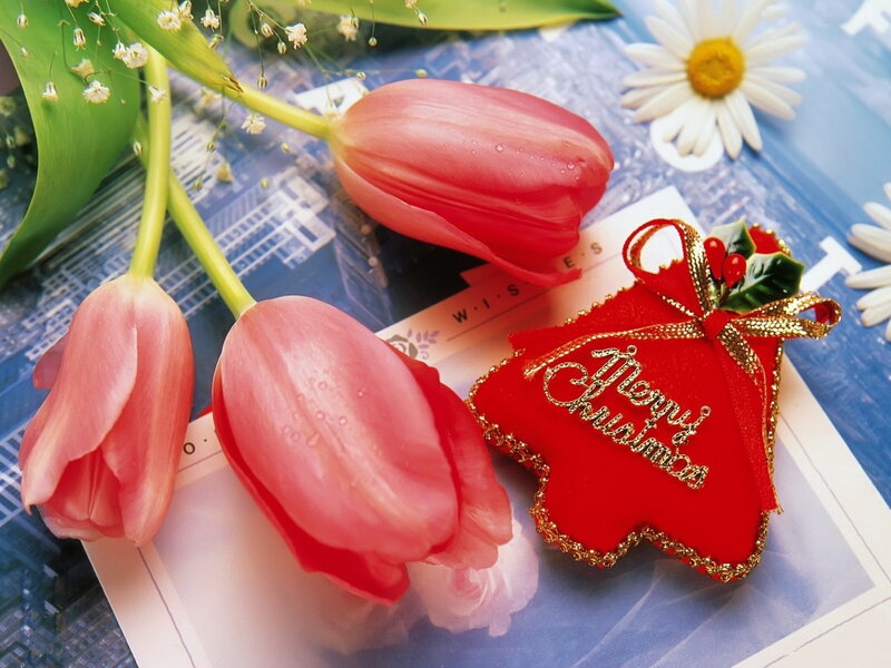 Red Tulips and Ornament