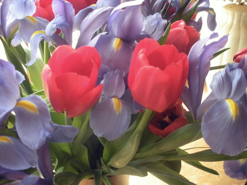 Red Tulips and Purple Irises