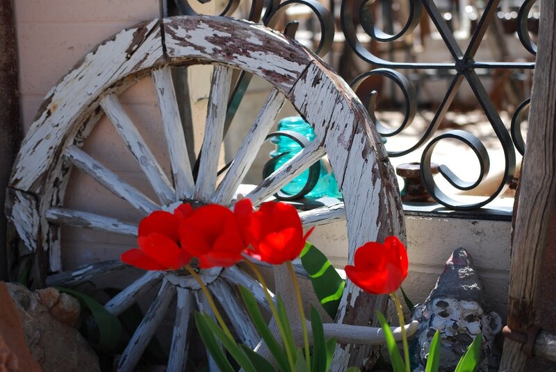 Red Tulips and Wagon Wheel