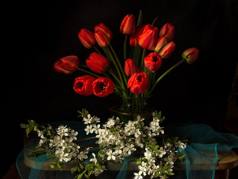 Red Tulips and White Blossoms — Dramatic