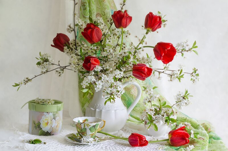 Red Tulips and White Blossoms — Serene, Spring