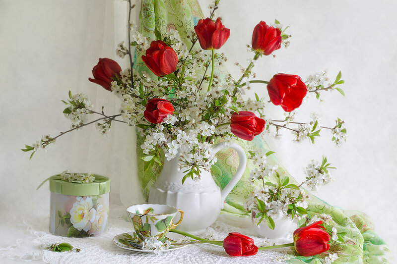 Red Tulips and White Blossoms — Serene