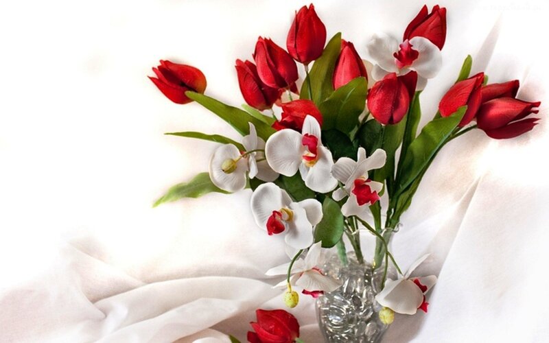 Red Tulips and White Orchids — Serene, Photograph